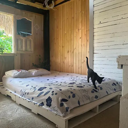 Nature Harmony Retreat In Tierra Bomba - Your Sustainable Escape *