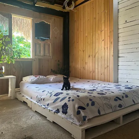 Pensión Nature Harmony Retreat In Tierra Bomba - Your Sustainable Escape